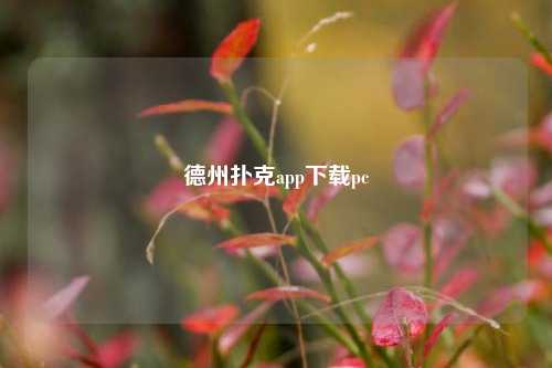 德州扑克app下载pc