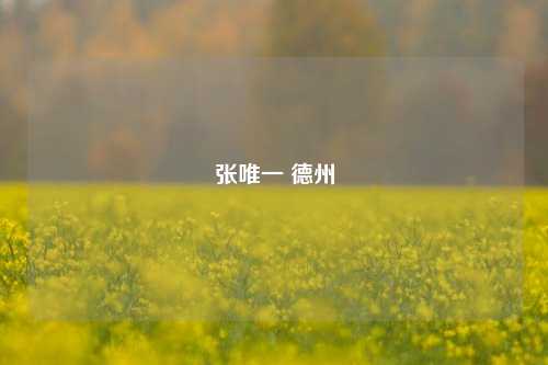 张唯一 德州