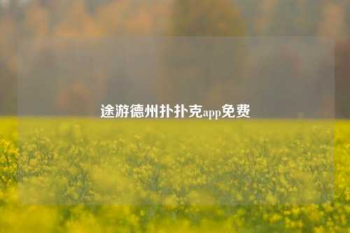 途游德州扑扑克app免费
