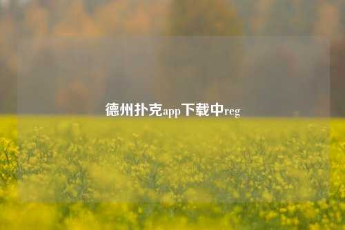 德州扑克app下载中reg