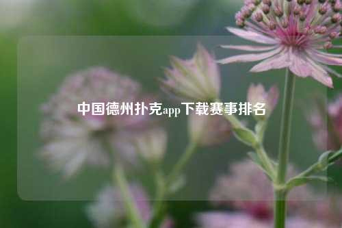 中国德州扑克app下载赛事排名
