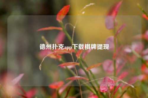 德州扑克app下载棋牌提现