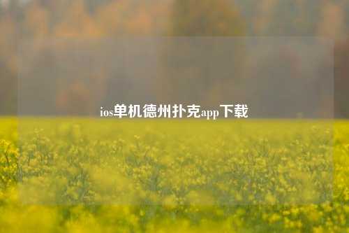 ios单机德州扑克app下载