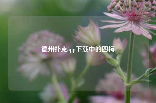 德州扑克app下载中的四梅