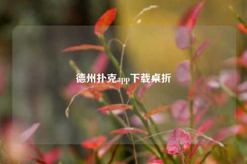 德州扑克app下载桌折
