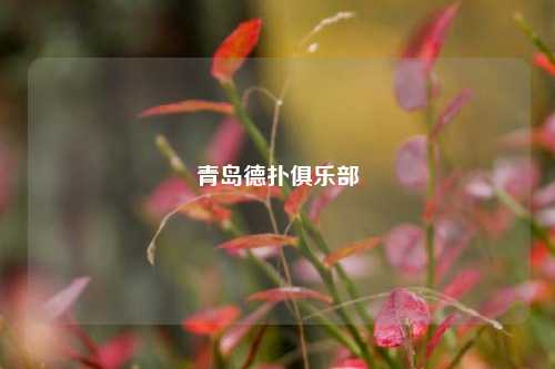 青岛德扑俱乐部