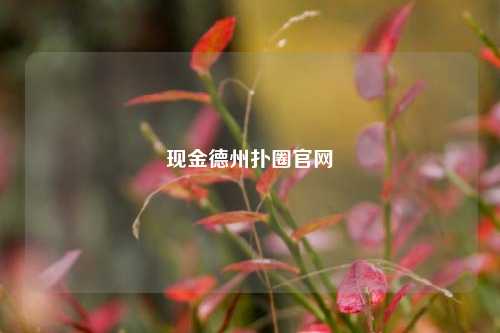 现金德州扑圈官网