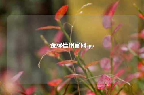 金牌德州官网app