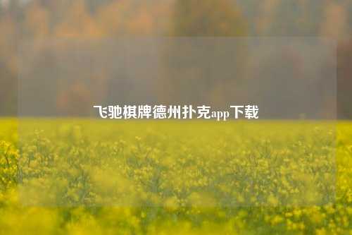 飞驰棋牌德州扑克app下载