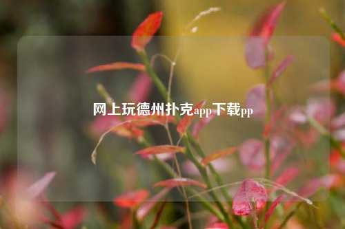 网上玩德州扑克app下载pp