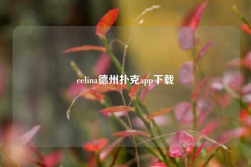 celina德州扑克app下载