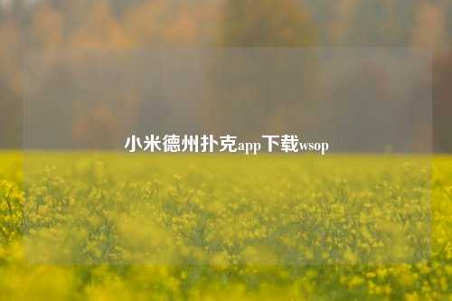 小米德州扑克app下载wsop