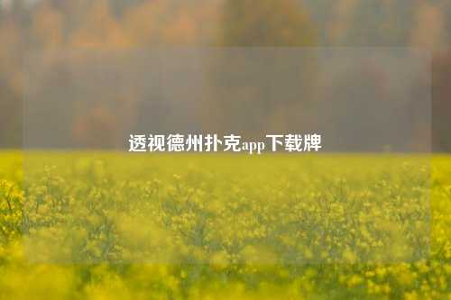 透视德州扑克app下载牌
