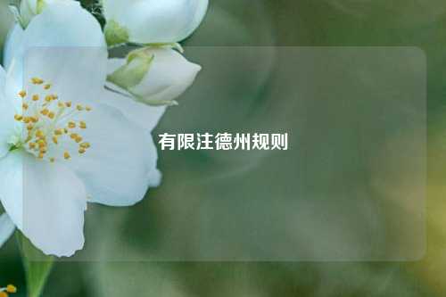 有限注德州规则