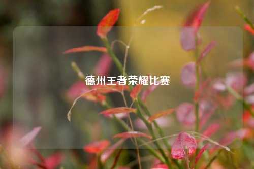 德州王者荣耀比赛