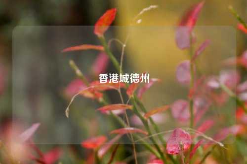 香港城德州