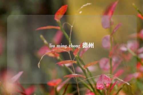 liu ming zhong 德州