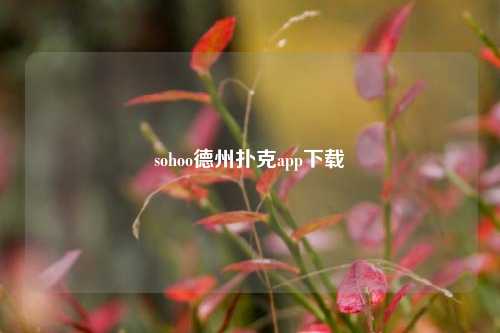 sohoo德州扑克app下载