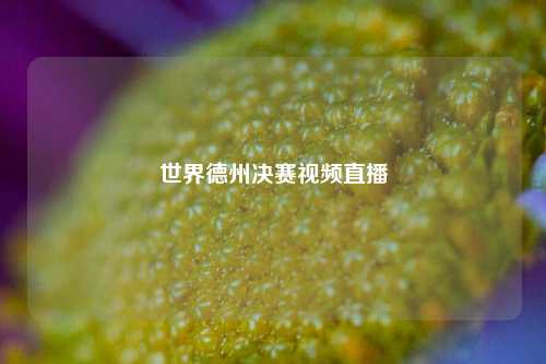 世界德州决赛视频直播