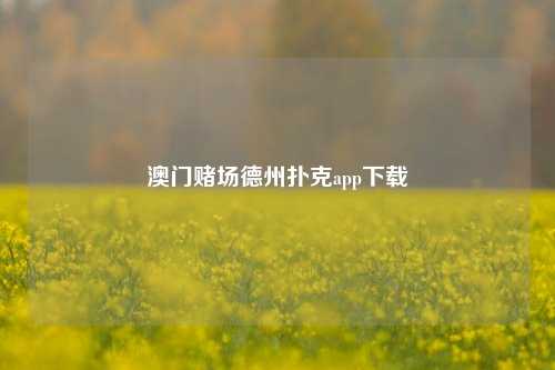 澳门赌场德州扑克app下载